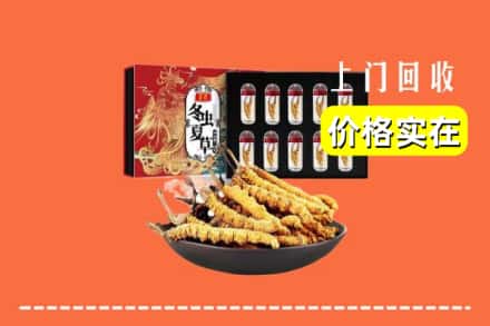 城步县回收冬虫夏草